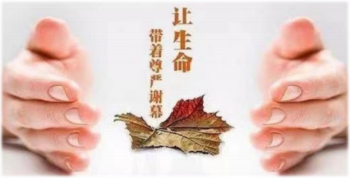 23db4a2d71ec4a33aede04c780c454c4.Png